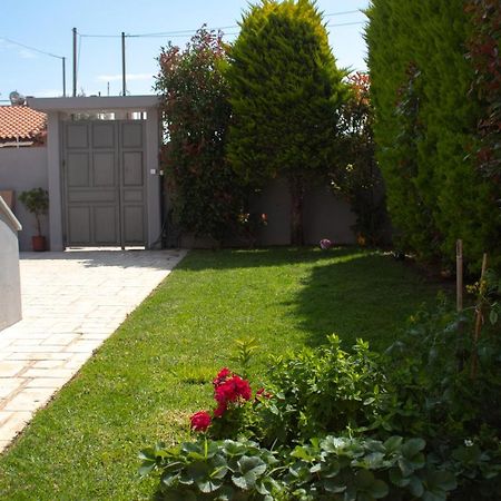 Elias Studio - Near To The Port Of Rafina And The Airport Of Athens Agios Spyridon  Exteriér fotografie