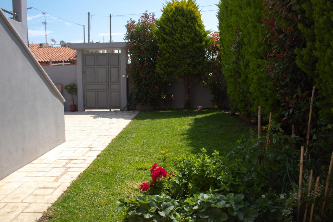 Elias Studio - Near To The Port Of Rafina And The Airport Of Athens Agios Spyridon  Exteriér fotografie